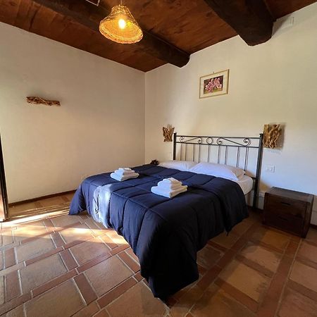 B&B Podere Legnotorto Castel del Piano  Exteriör bild