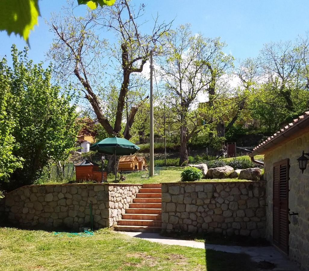 B&B Podere Legnotorto Castel del Piano  Exteriör bild