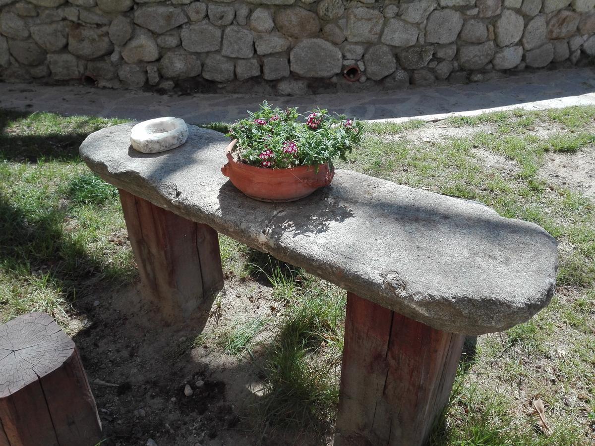 B&B Podere Legnotorto Castel del Piano  Exteriör bild